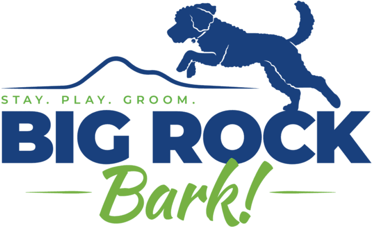Logo featuring a dog jumping with the text "Play. Groom. Big Rock Bark!."
