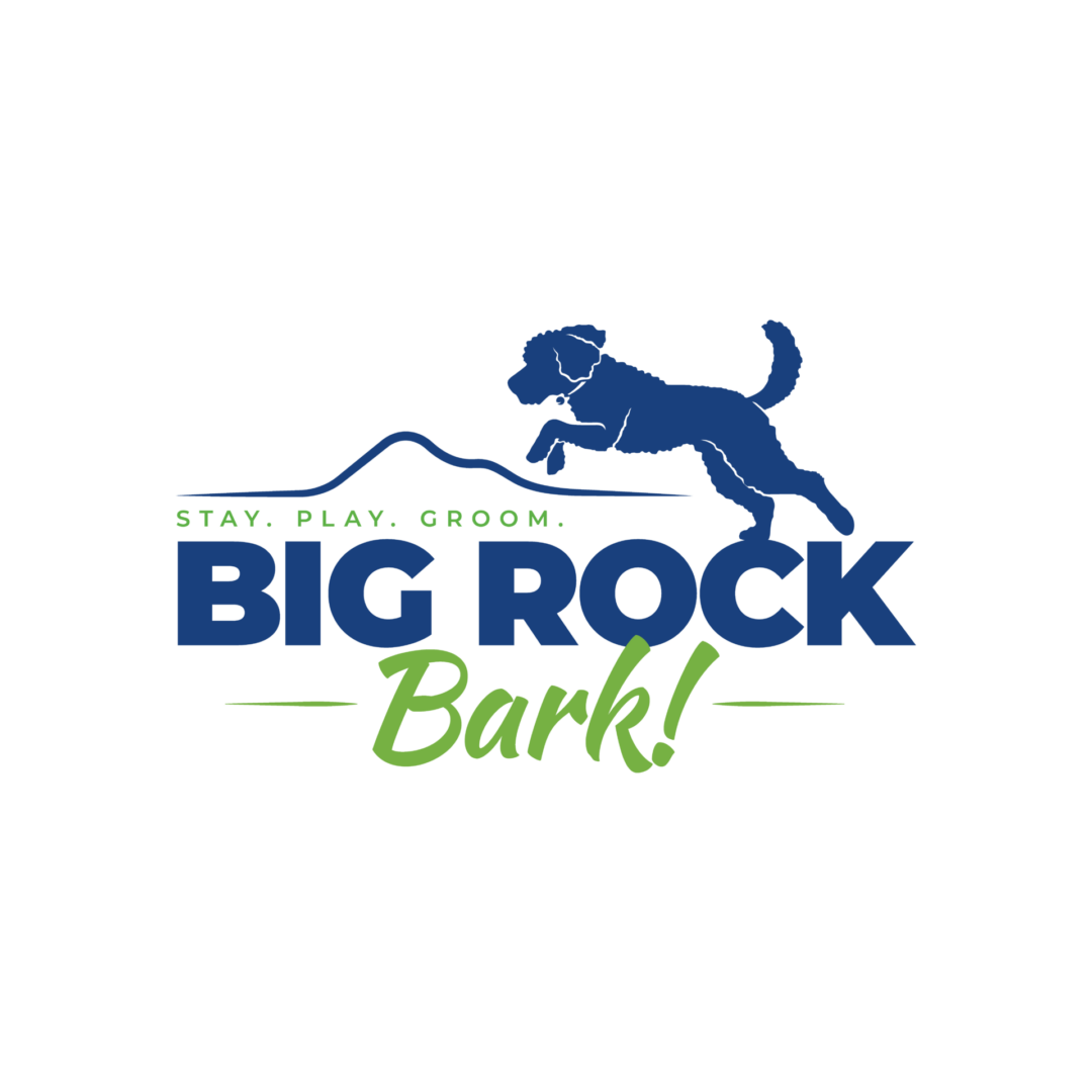 Designed for Pets, Loved by Families
