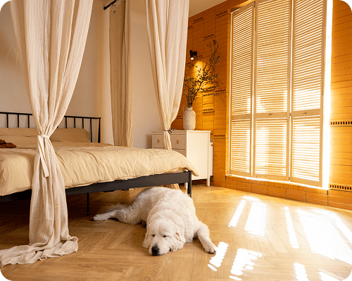 A dog resting on the wooden floor near a cozy bed with sunlight streaming in.