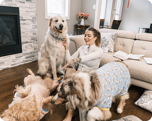 A woman playing with three dogs in a cozy living room.